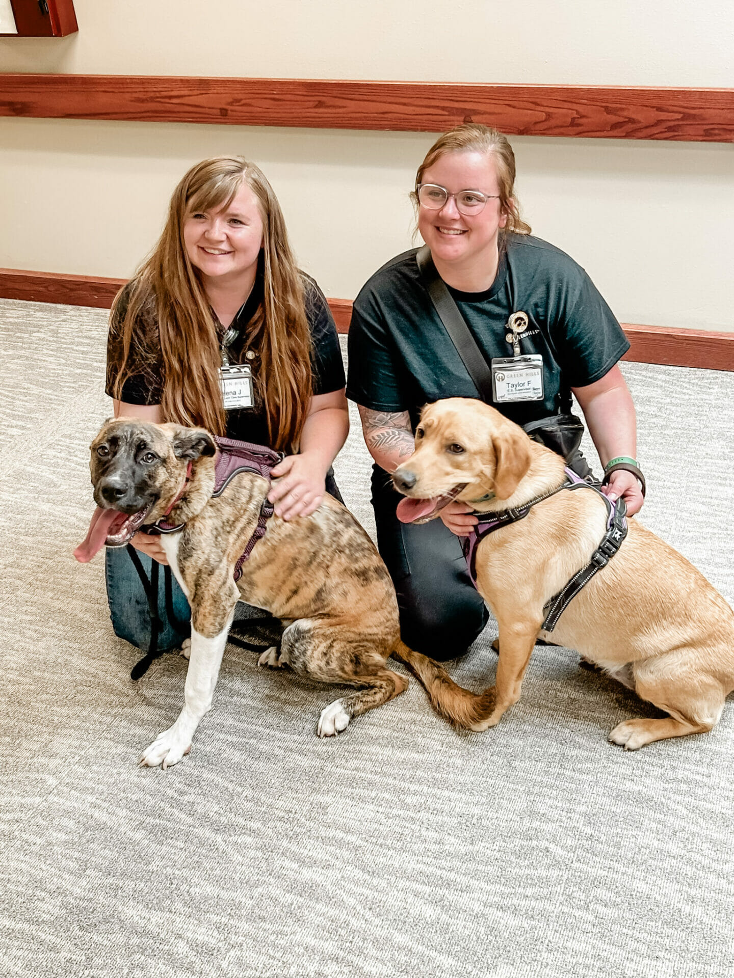 volunteers with their dogs