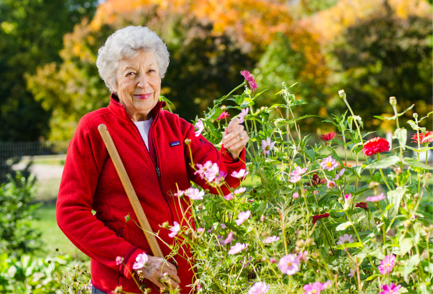 Ester-in-garden senior woman gardening