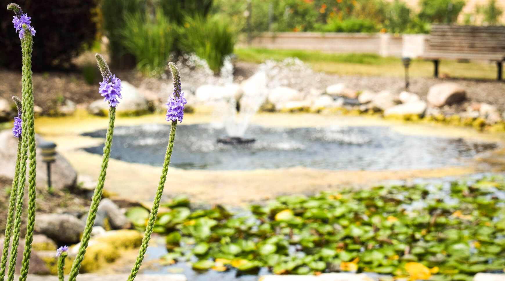 outdoor pond