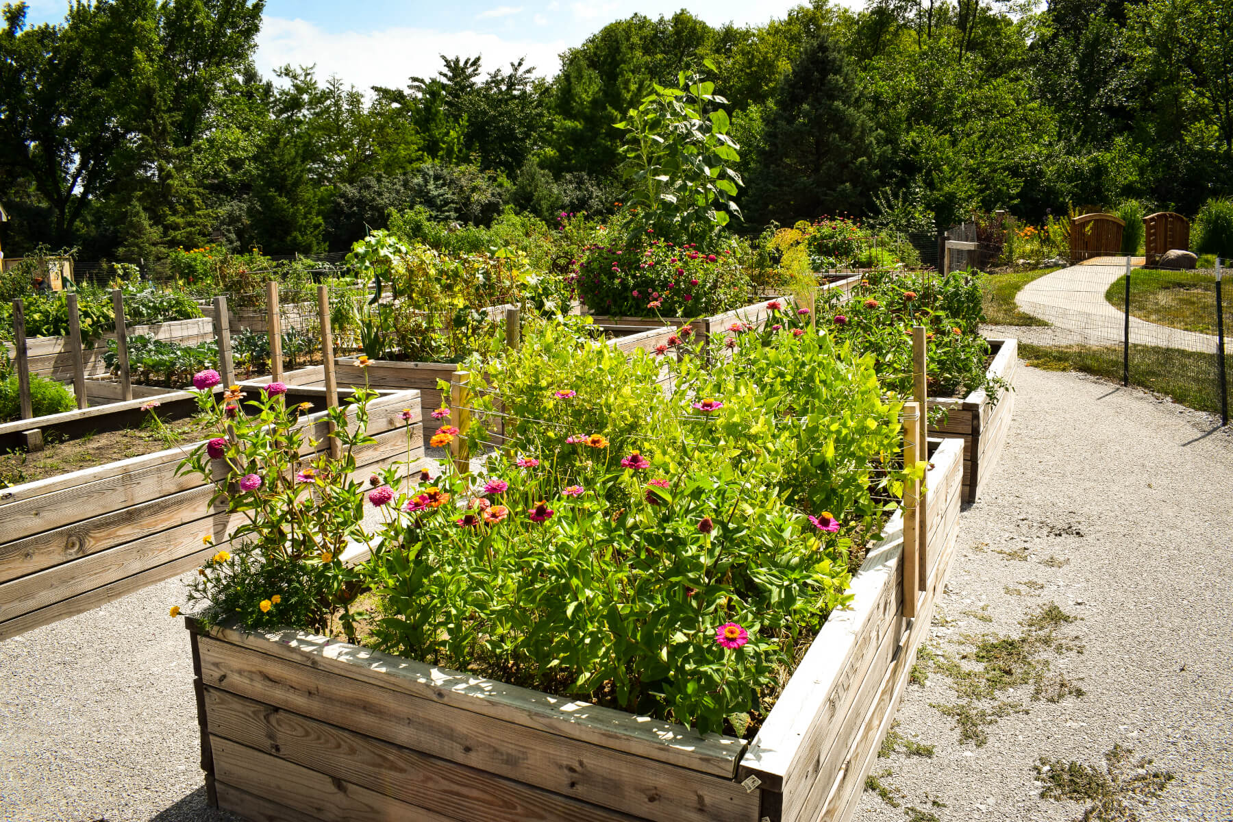raised-garden raised garden beds