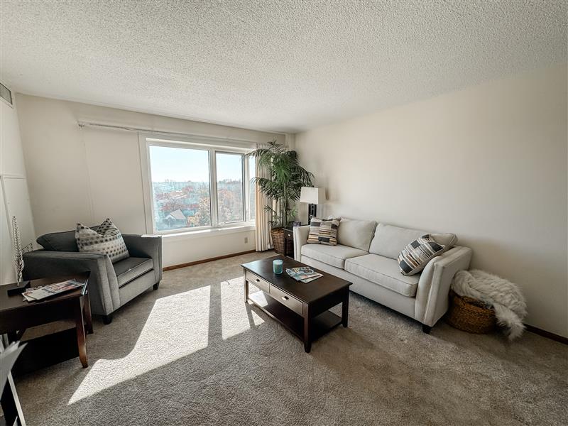 No Alt Tag Available