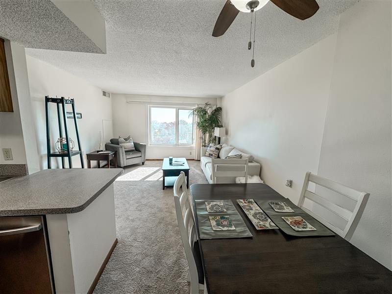 No Alt Tag Available