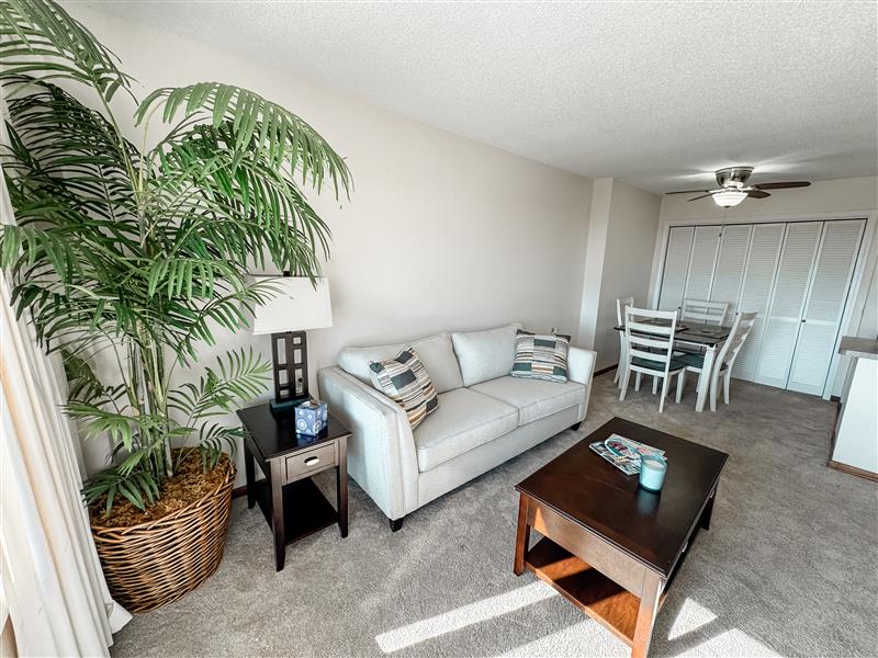 No Alt Tag Available