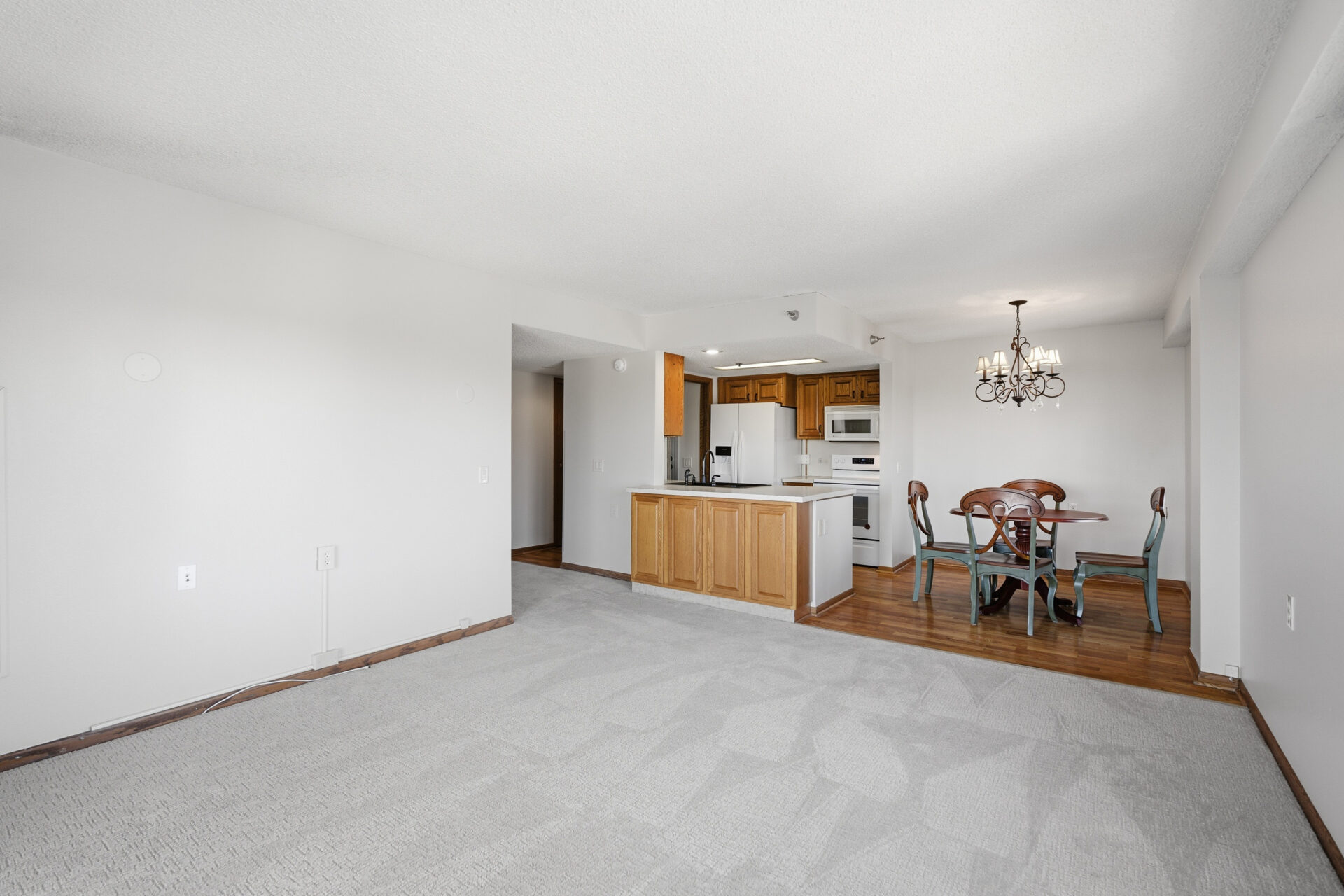 No Alt Tag Available