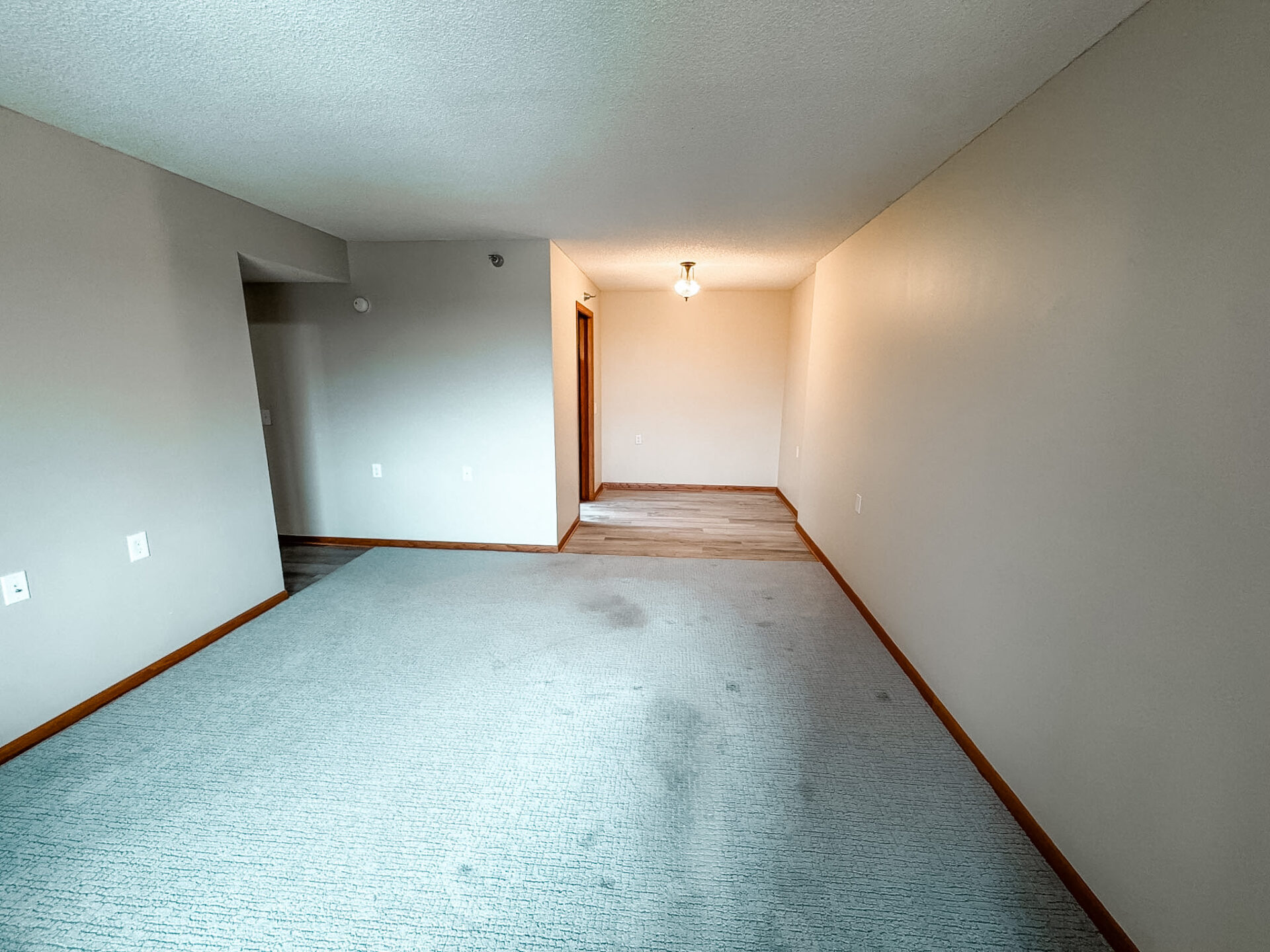 No Alt Tag Available